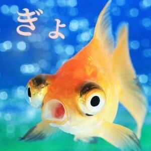 金魚のメッセージ用アイコン